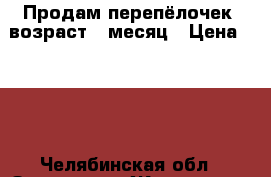 Продам перепёлочек, возраст 1 месяц › Цена ­ 100 - Челябинская обл., Златоуст г. Животные и растения » Птицы   
